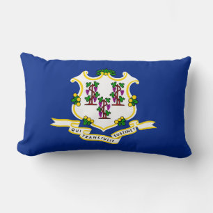 Connecticut State Flag Design Lumbar Cushion