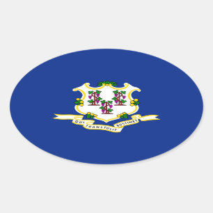 Connecticut State Flag Design Oval Sticker