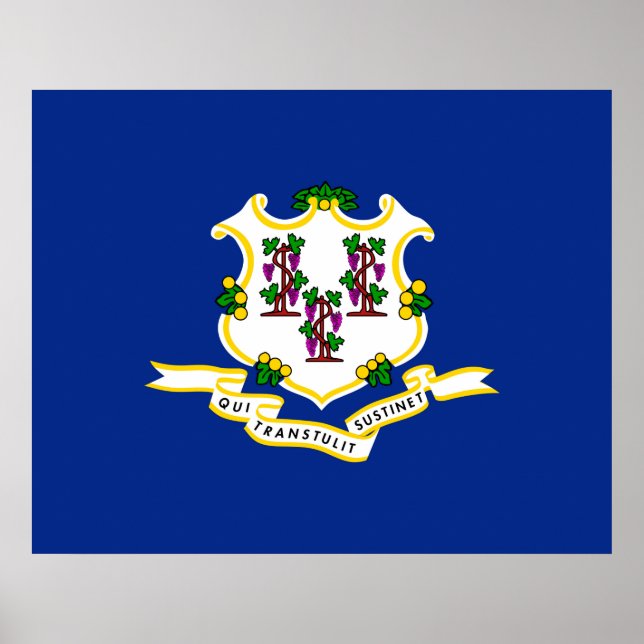 Connecticut State Flag Design Poster (Front)