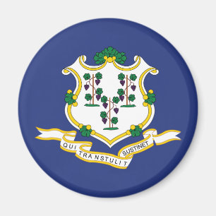 Connecticut State Flag Magnet