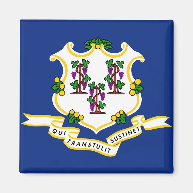 Connecticut State Flag Magnet (Front)
