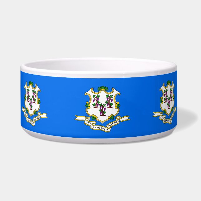 Connecticut State Flag Pet Bowl (Left)