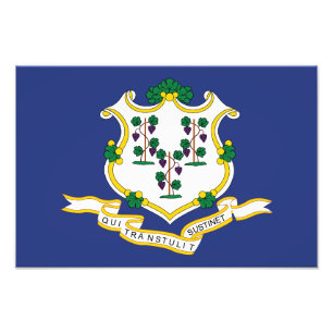 Connecticut State Flag Photo Print