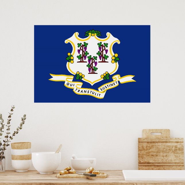 Connecticut State Flag Poster (Kitchen)