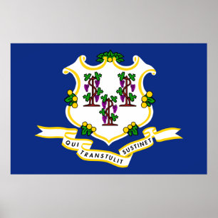 Connecticut State Flag Poster