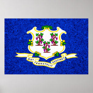 Connecticut State Flag Poster