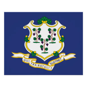 Connecticut State Flag Poster