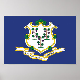 Connecticut State Flag Poster