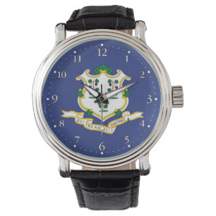 Connecticut State Flag Watch