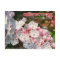 Connecticut State Flower: Mountain Laurel