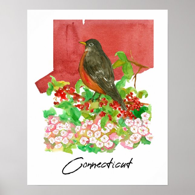Connecticut State Robin Bird Red Watercolor  Poster (Front)