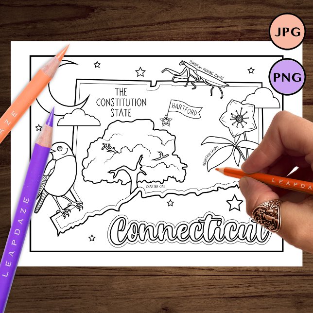 connecticut state shape and facts colouring page (Creator Uploaded)