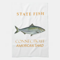 Connecticut Territory Fish The American Shad