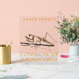 Connecticut Territory Insect Mantis religiosa Acrylic Sign