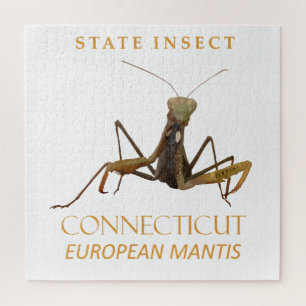 Connecticut Territory Insect The European Mantis Jigsaw Puzzle