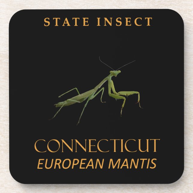 Connecticut Territory Insect The Praying Mantis Coaster (Front)