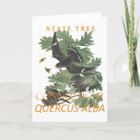 Connecticut Territory Tree The Charter Oak