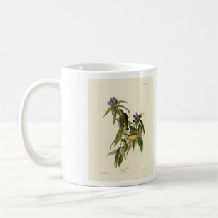Connecticut Warbler - Audubon's Birds of America Coffee Mug