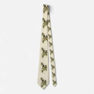 Connecticut Warbler - Audubon's Birds of America Tie