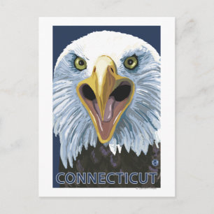 ConnecticutEagle Up Close Postcard