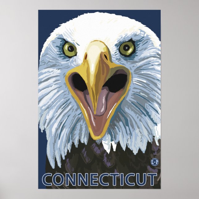 ConnecticutEagle Up Close Poster (Front)