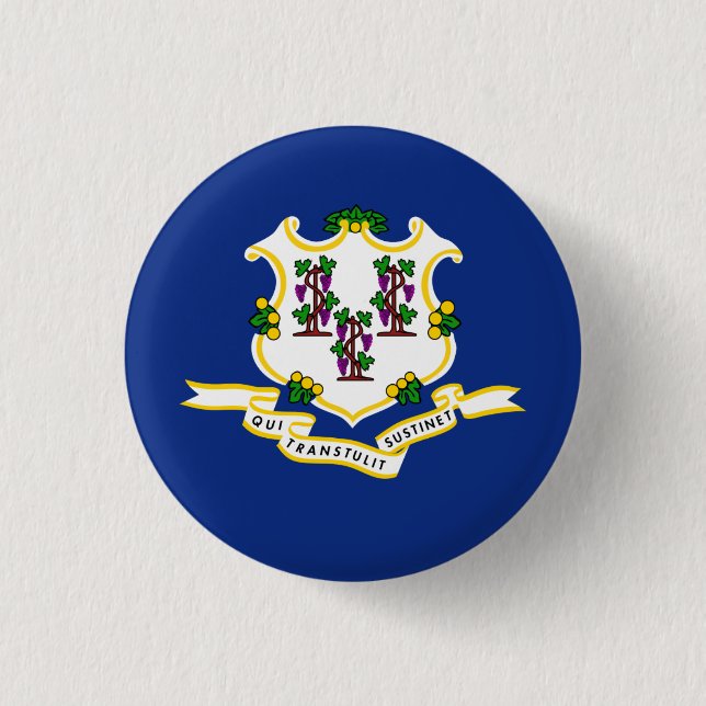 Connecticuter Flag, Flag of Connecticut 3 Cm Round Badge (Front)
