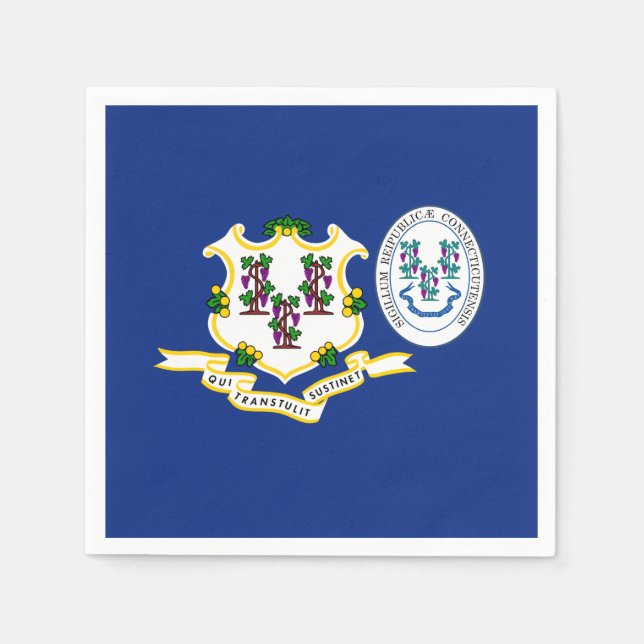 Connecticuter Flag & Seal, Connecticut Napkin (Front)