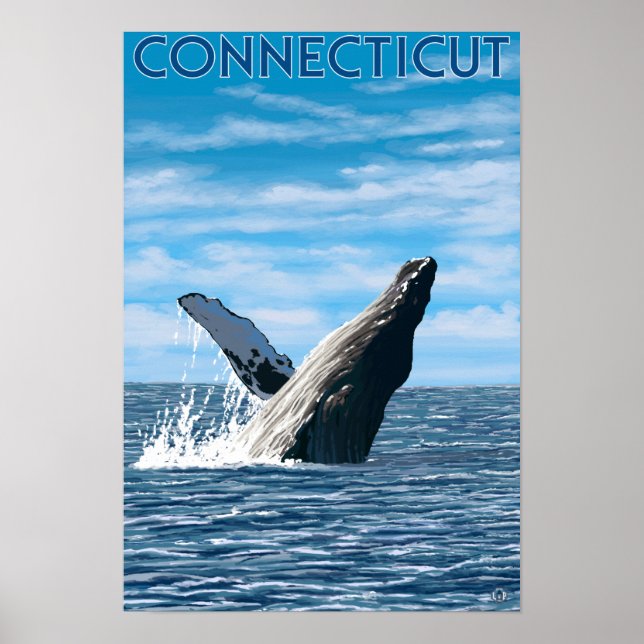 ConnecticutHumpback Whale Scene Poster (Front)