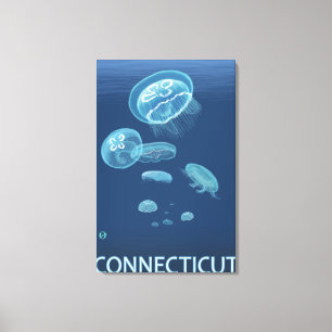 ConnecticutJellyfish Scene Canvas Print