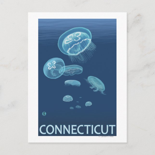 ConnecticutJellyfish Scene Postcard (Front)
