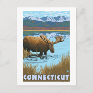 ConnecticutMoose Drinking in Lake Postcard