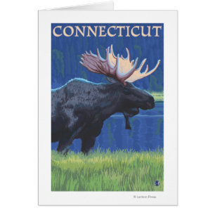 ConnecticutMoose in the Moonlight