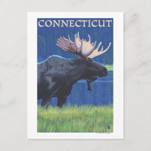ConnecticutMoose in the Moonlight Postcard