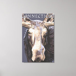 ConnecticutMoose Up Close Canvas Print