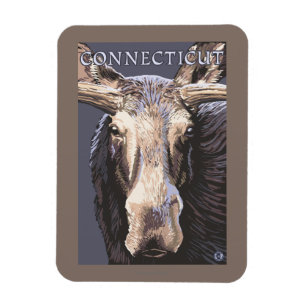 ConnecticutMoose Up Close Magnet