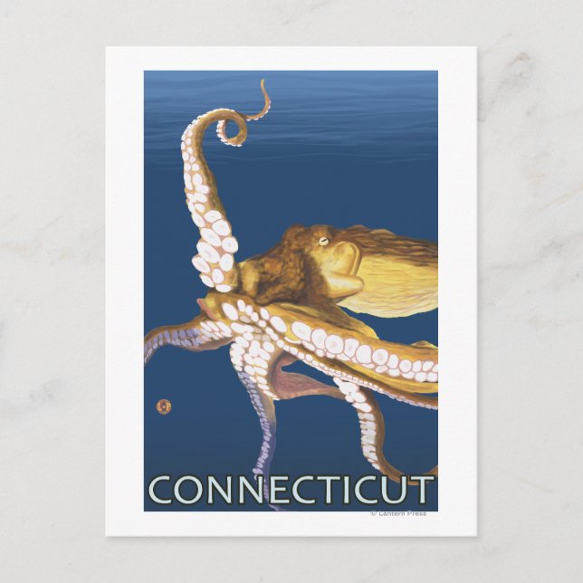 ConnecticutOctopus Scene Postcard (Front)