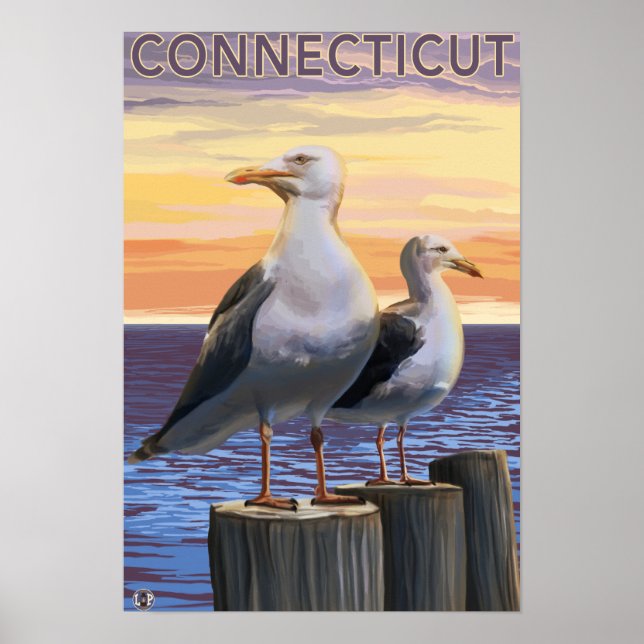 ConnecticutSea Gulls Scene Poster (Front)