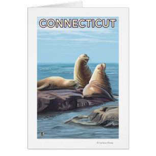 ConnecticutSea Lions Scene