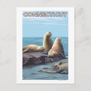 ConnecticutSea Lions Scene Postcard