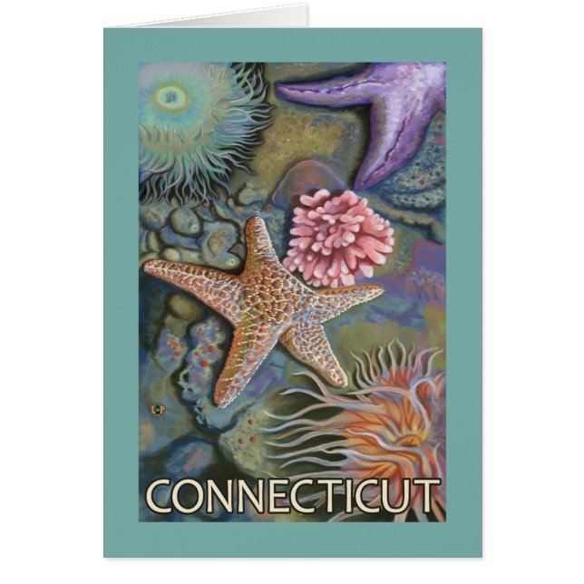 ConnecticutTidepool Scene (Front)