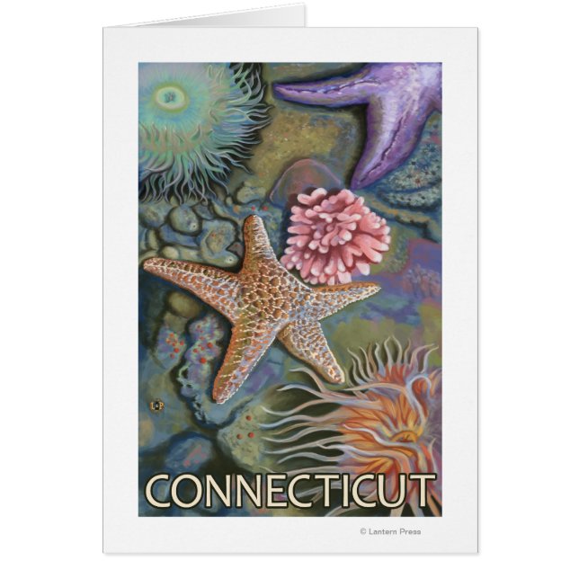 ConnecticutTidepool Scene (Front)