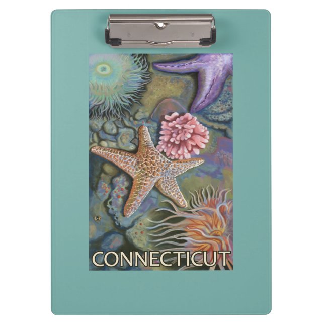 ConnecticutTidepool Scene Clipboard (Front)