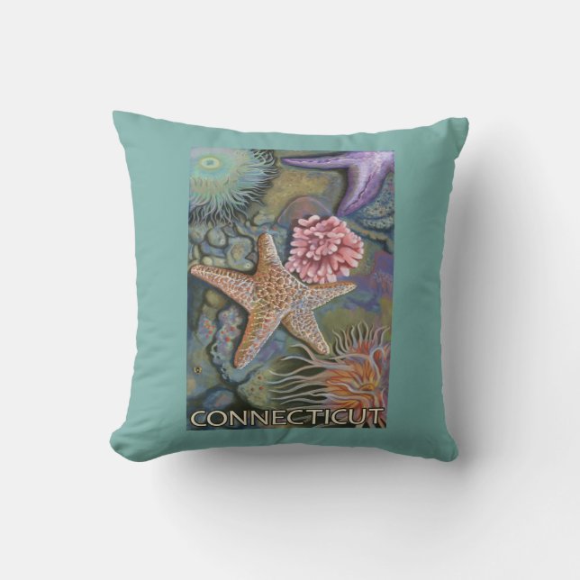 ConnecticutTidepool Scene Cushion (Front)