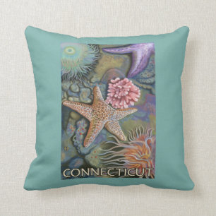 ConnecticutTidepool Scene Cushion