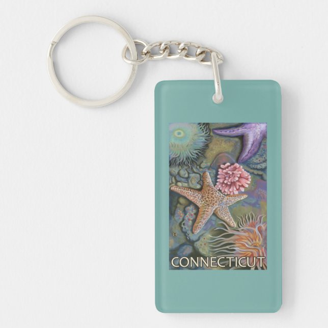 ConnecticutTidepool Scene Key Ring (Front)