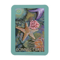 ConnecticutTidepool Scene