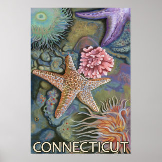 ConnecticutTidepool Scene Poster