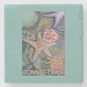 ConnecticutTidepool Scene Stone Coaster