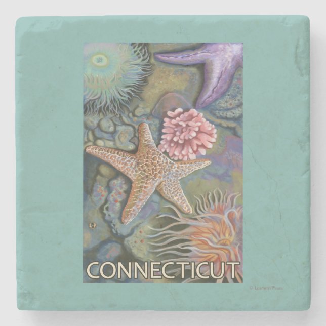 ConnecticutTidepool Scene Stone Coaster (Front)