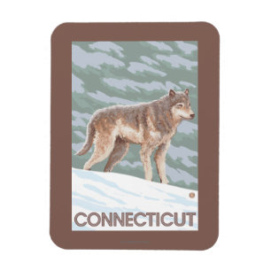 ConnecticutWolf Scene Magnet